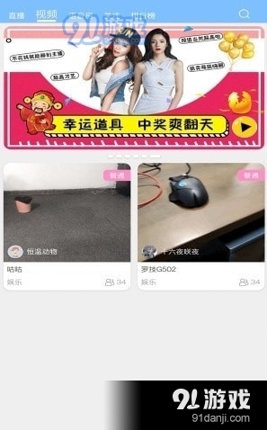 三鴿流水3