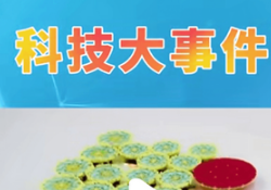 11.png