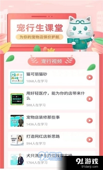 板栗狗3