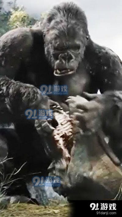 哥斯拉金剛王國(guó)1