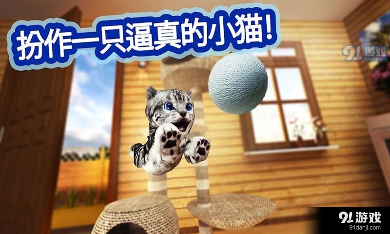迷你小貓城市生存2