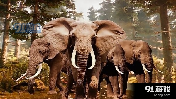 叢林狙擊兵狩獵2