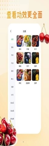 水果圖片大全1