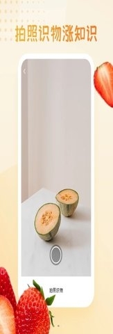 水果圖片大全3
