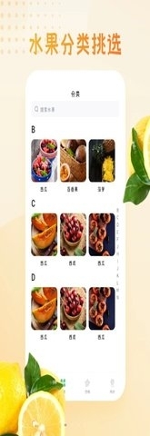 水果圖片大全2