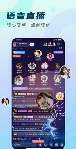 比熊交友1