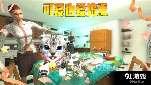 模擬貓咪5