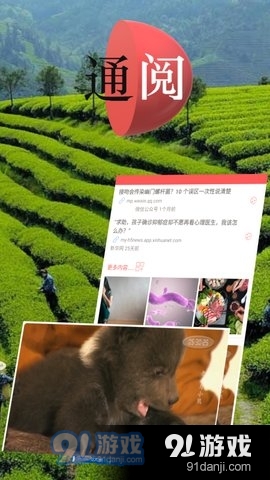 通閱百科1
