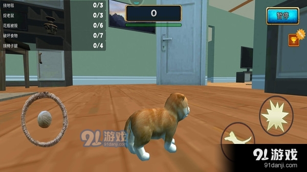 可愛的動物3