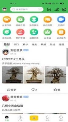 千盆2