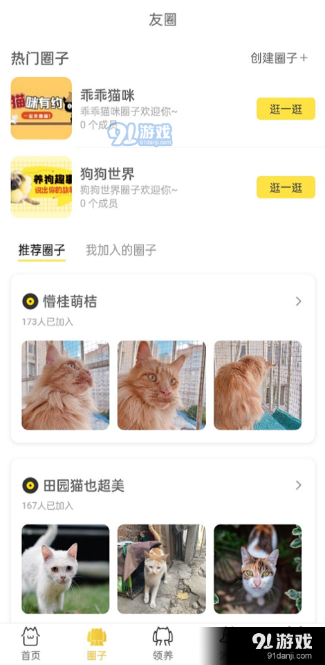 種貓家2
