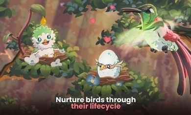鳥類世界1