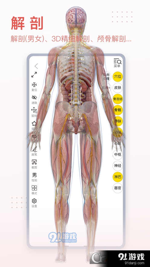 3Dbody解剖安卓版2