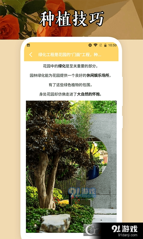 小小花店種養(yǎng)3