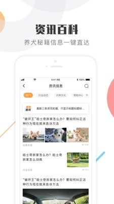 K9犬網2