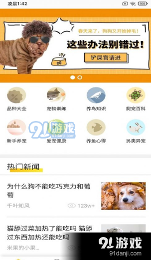 富張東狗1