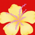 shell32.dll 