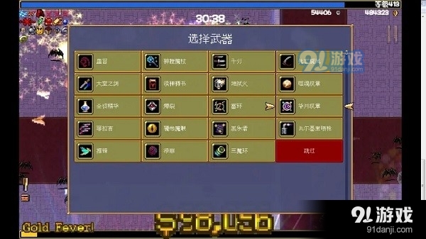 吸血鬼幸存者中文版2