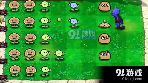 萌化版植物爆射僵尸王1
