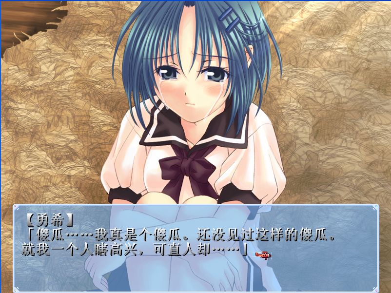 夢之翼5