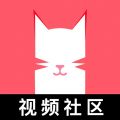 猫咪视频去广告版