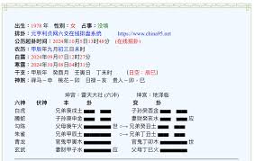 辰巳年是什么时候-寻求指导与解答