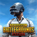 pubg官网正版