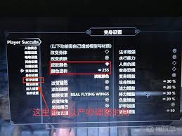 老滚5魅魔系统和妊娠系统