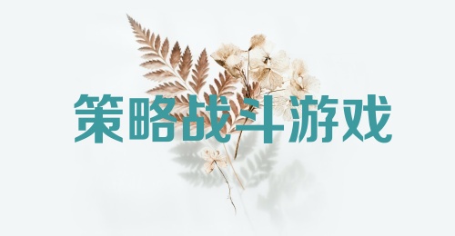 策略战斗游戏