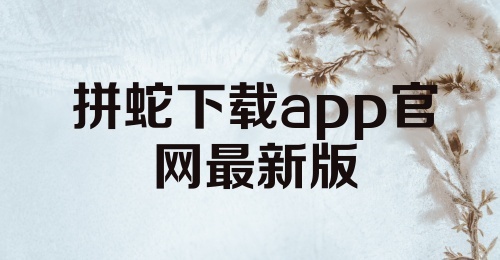 拼蛇下载app官网最新版