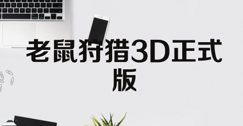 老鼠狩猎3D正式版