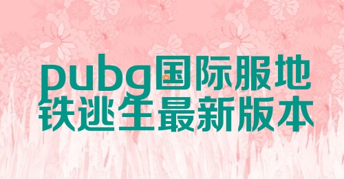 pubg国际服地铁逃生最新版本