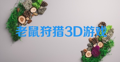 老鼠狩猎3D游戏