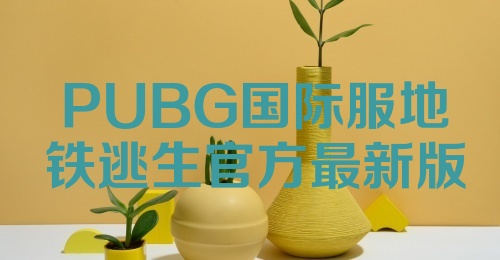 PUBG国际服地铁逃生官方最新版