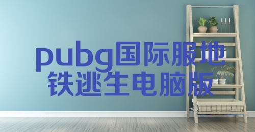 pubg国际服地铁逃生电脑版