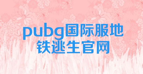 pubg国际服地铁逃生官网