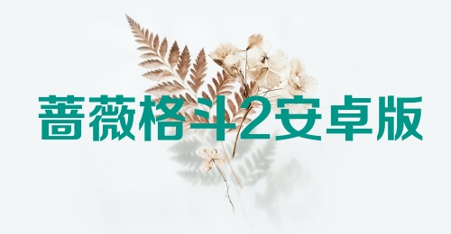 蔷薇格斗2安卓版