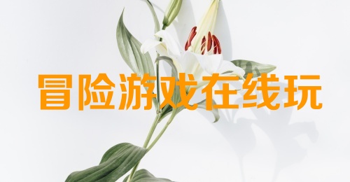 冒险游戏在线玩