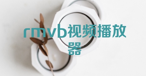 rmvb视频播放器