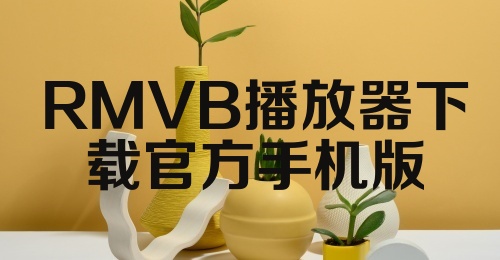 RMVB播放器下载官方手机版