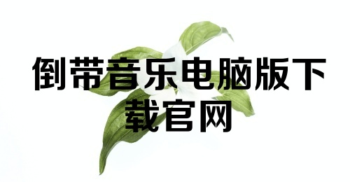 倒带音乐电脑版下载官网