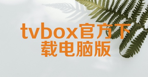 tvbox官方下载电脑版