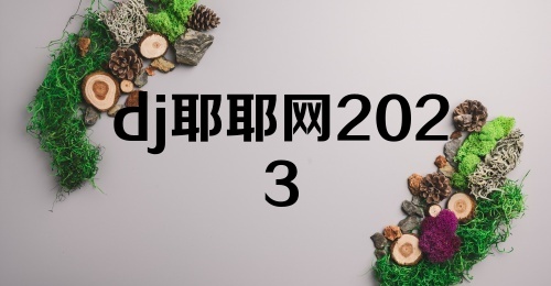 dj耶耶网2023