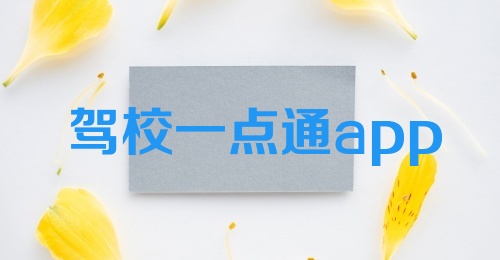 驾校一点通app