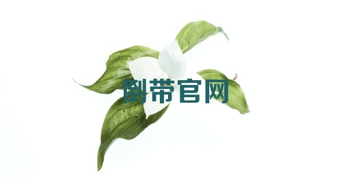 倒带官网