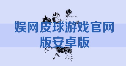 娱网皮球游戏官网版安卓版