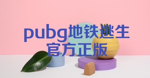 pubg地铁逃生官方正版