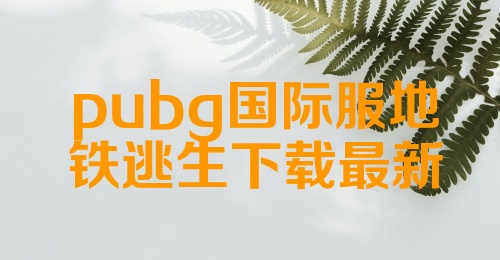 pubg国际服地铁逃生下载最新