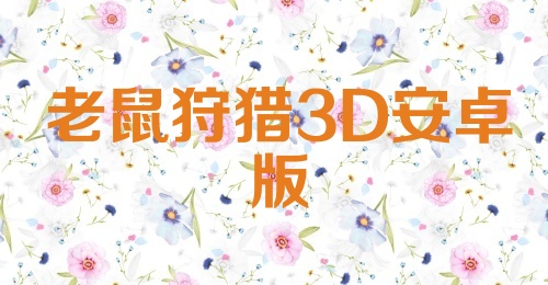 老鼠狩猎3D安卓版