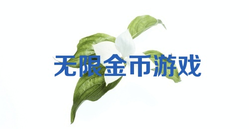 无限金币游戏